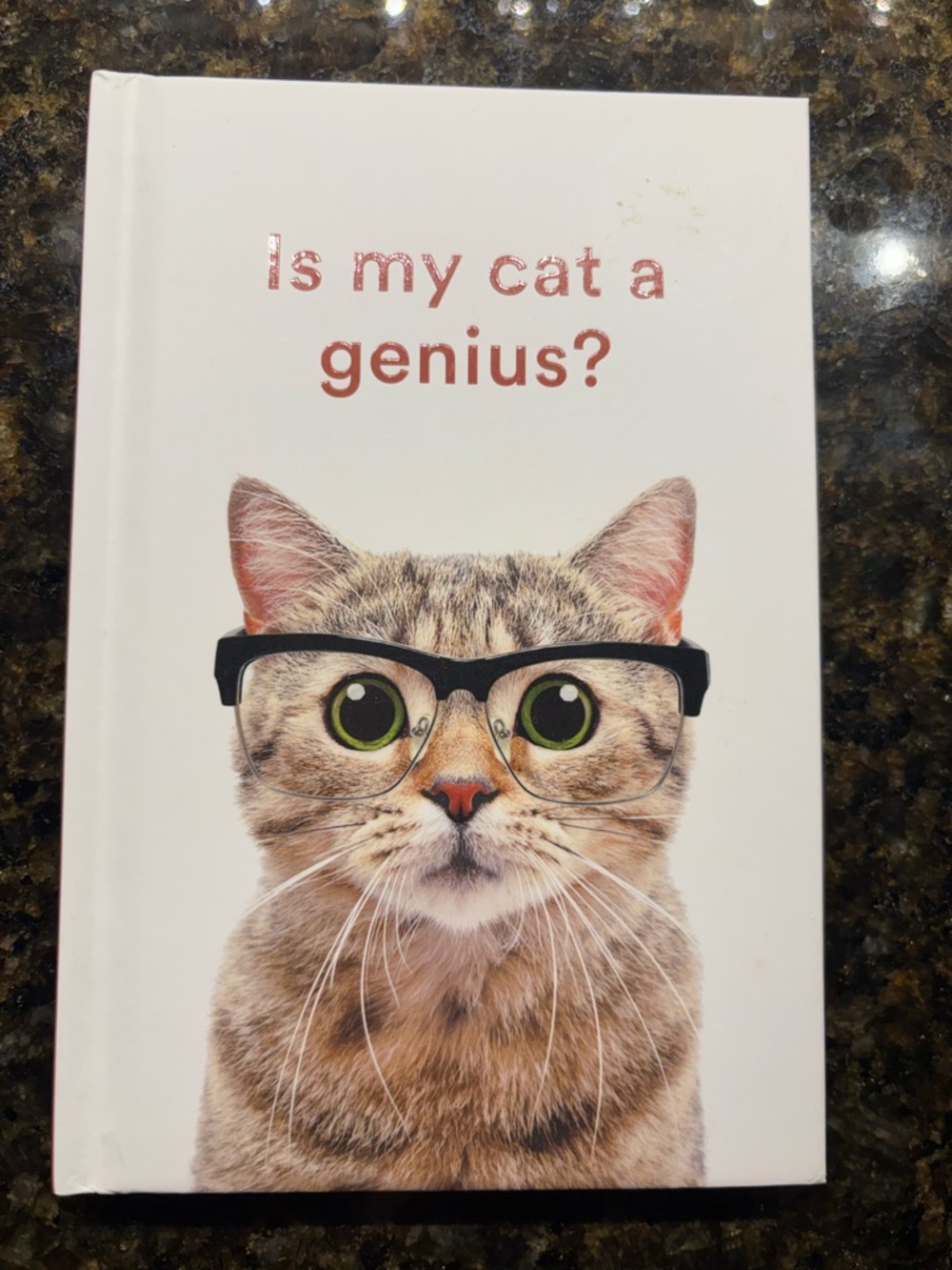 Is My Cat a Genius? Fun Cat-Themed Book